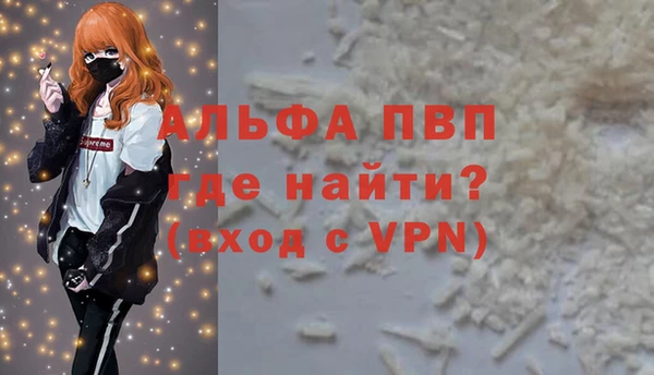 гашик Богданович