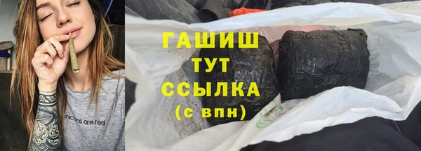 гашик Богданович