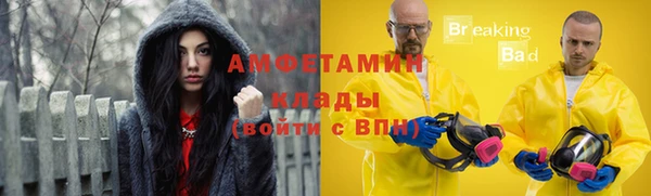 гашик Богданович