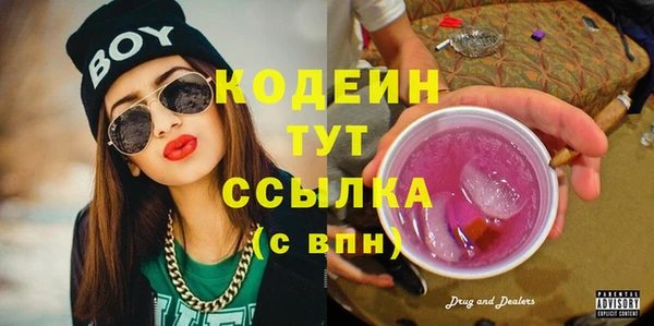 гашик Богданович