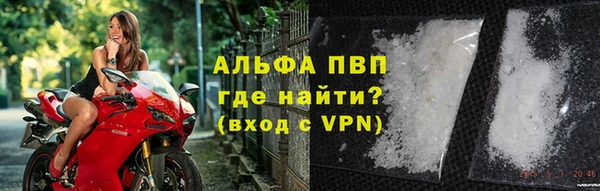 гашик Богданович