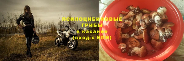 эйфоретик Богородицк