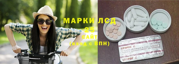 гашик Богданович